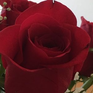 Meet your Posher, Suzanne